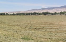 18889 Homestead Road, Delta, CO 81416
