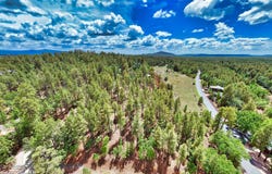 6319 Bent Oak Drive, Pinetop, AZ 85935