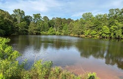 1139 Hwy 583 N., Tylertown, MS 39667
