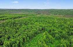 VL Robinson Road, Harbor Springs, MI 49740
