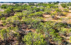 FM 472, Bigfoot, TX 78005