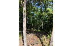 Oak Leaf Circle lot: 94, Garfield, AR 72732