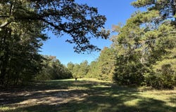 200 Ac W Ellis, Griffin, GA 30223