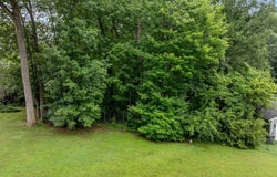 Tbd Cornwallis Drive, Mebane, NC 27302