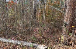 0001 Loggers Trail, Many, LA 71449