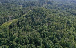 Daves Valley Rd, Pickens, SC 29671
