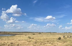 0000 Terrapin, Megargel, TX 76370