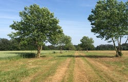 METOMPKIN RD lot: 14, GARGATHA, VA 23421