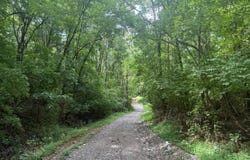 0 Tom Sharp Rd, Columbia, TN 38401