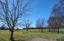 9436 Dripping Springs Road, Denison, TX 75021