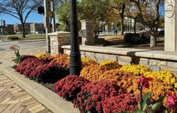 710 Lee Street, Des Plaines, IL 60016