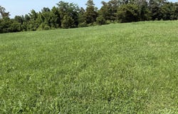 000 Golds Valley Road, Dry Ridge, KY 41035