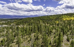 5989 GCR 5, Tabernash, CO 80478