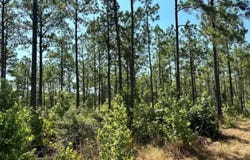 3245 CR 1095, Center, TX 75935