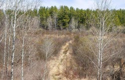 1500 40th Street SW, Pine River, MN 56474