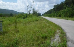 6900 County Road 137, Valley Head, AL 35989