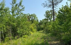 Tbd County Road T, Dairyland, WI 54830