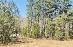 0 Cooper Lane, Quitman, AR 72131