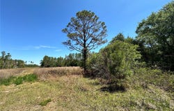 NE 128TH Lane, BRONSON, FL 32621