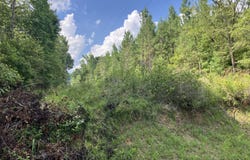 11.02 Ac Johnson Mill, Hamilton, GA 31811