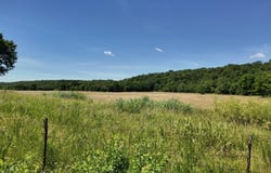 000 County Rd 945, Thornfield, MO 65762