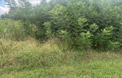 459 S Walnut Street, Whitwell, TN 37397