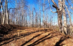Vilas Overlook Drive, Vilas, NC 28692