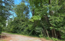 Rowland, NC 28383