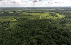 0 Lewis Coombs Road, Trenton, NC 28585