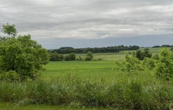 20.37 Ac S Main Street, Reeseville, WI 53579