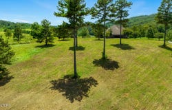 Blueberry Drive, Loudon, TN 37774