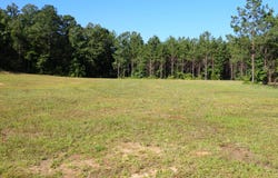 0 Highway 82 East, Centreville, AL 35042