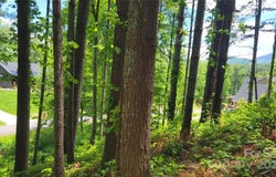 51 Barebridge Fields Road unit: 51, Burnsville, NC 2874