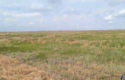 County Road V, Akron, CO 80720