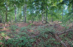 0000 Black Highway, Smyrna, SC 29743