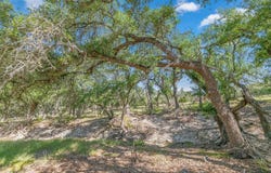 996 FM 479, Mountain Home, TX 78058