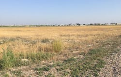 200 Liberty Ln, Ault, CO 80610