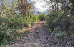 760-19585-000 Sandot  DR, Bull Shoals, AR 72619