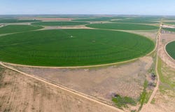 Busby Farms ±1,693.16 Ac. Farm, Hart, TX 79027