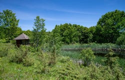 1718 Doe Brook Rd, Hamden, NY 13782