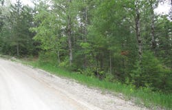 14796 E Shore Line Drive, Wolverine, MI 49799