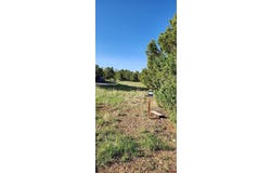 1635 Marmot Drive, Ridgway, CO 81432
