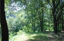 0 SKYLINE ORCHARD DRIVE, HOCKESSIN, DE 19707
