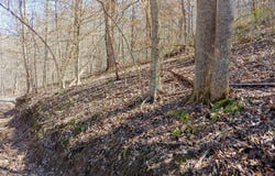 0 Birch Hollow Road, Stanton, KY 40380