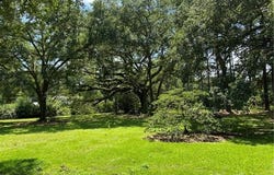 35595 GARDEN Drive, Slidell, LA 70460