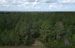 8200 BLK Grimes Rd, Century, FL 32535