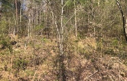 HOLLYBERRY LANE lot: 3, Houston, AL 35572