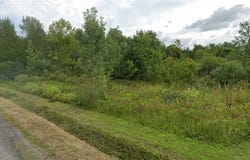 Lower Lawrence Street, Westmoreland, NY 13440