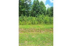 0 Carver Street, Franklinton, NC 27525
