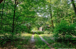 15620 Quincy Street, Holland, MI 49424